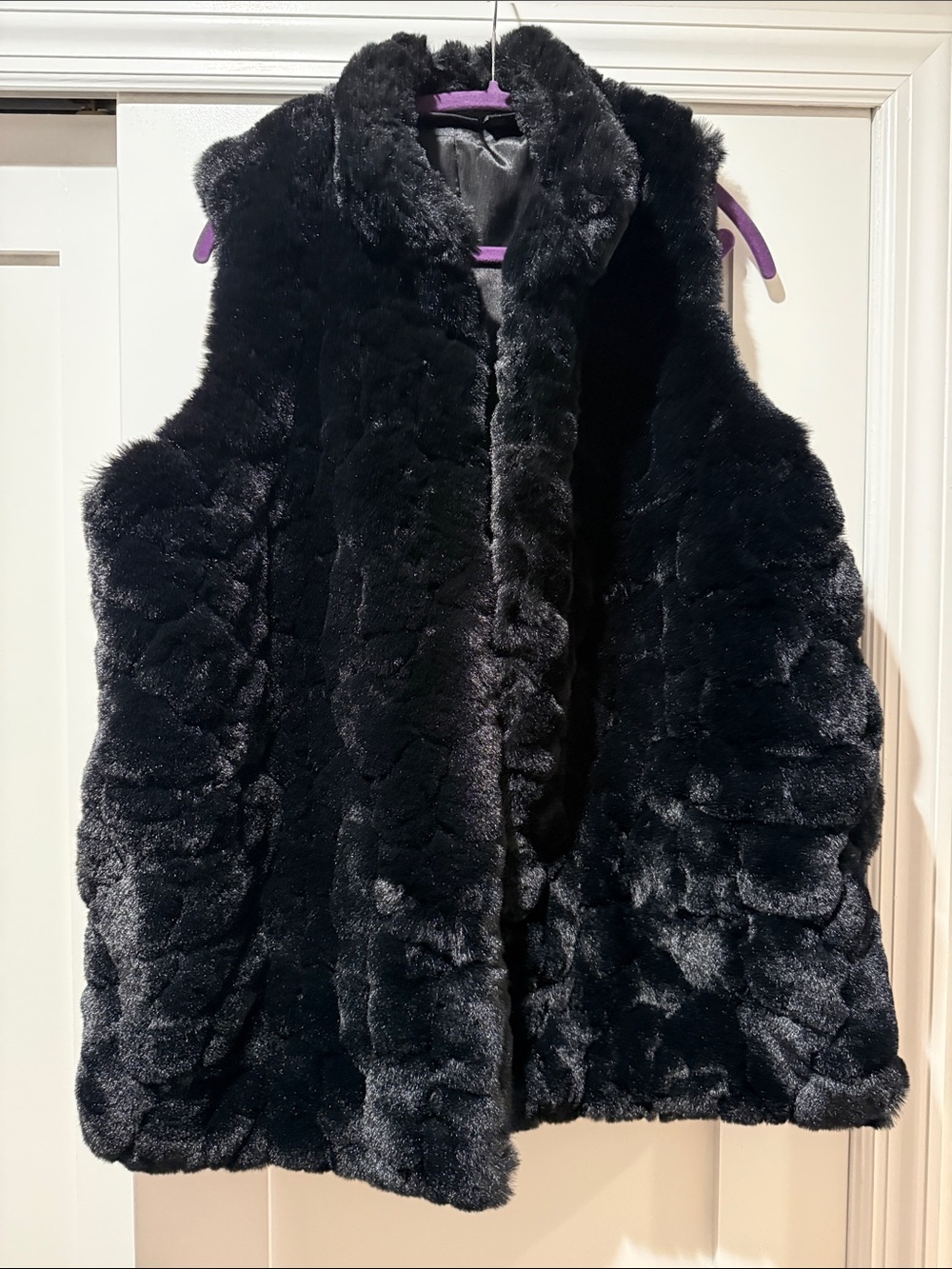 Rachel Zoe Black Faux Fur Vest with Plush Texture